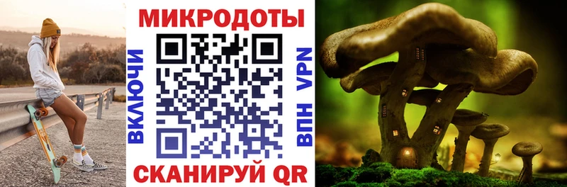 где продают наркотики  Домодедово  Псилоцибиновые грибы мухоморы 